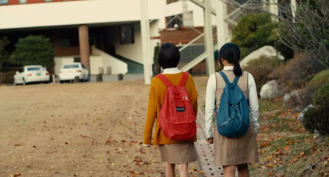 少年的你被欺凌的人,希望少年的无知不会伤害你的赤诚