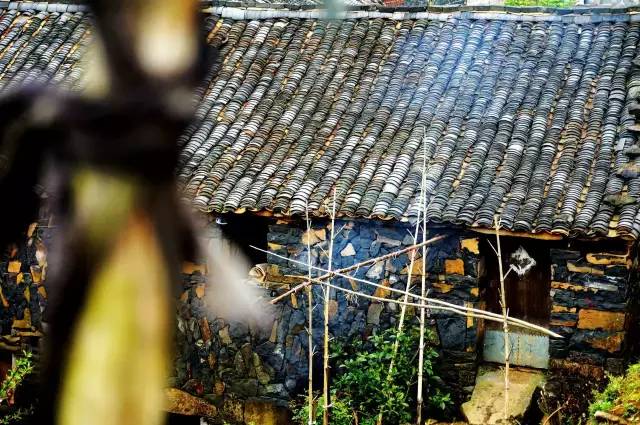 磐安十大秀美乡村,磐安周边村落游玩推荐