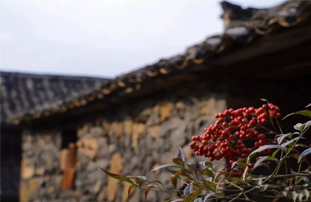 磐安十大秀美乡村,磐安周边村落游玩推荐