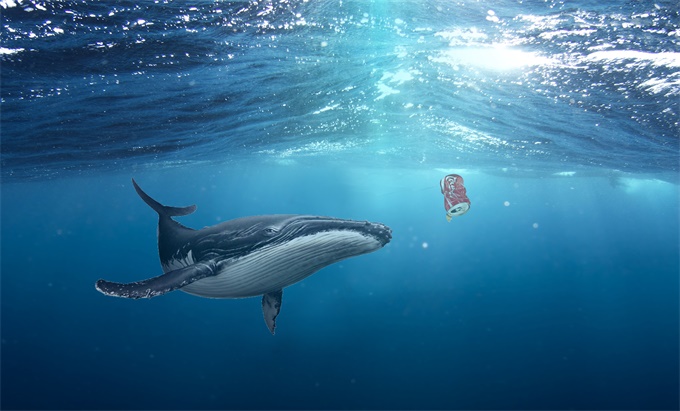 可口可乐污染环境,可口可乐的污染