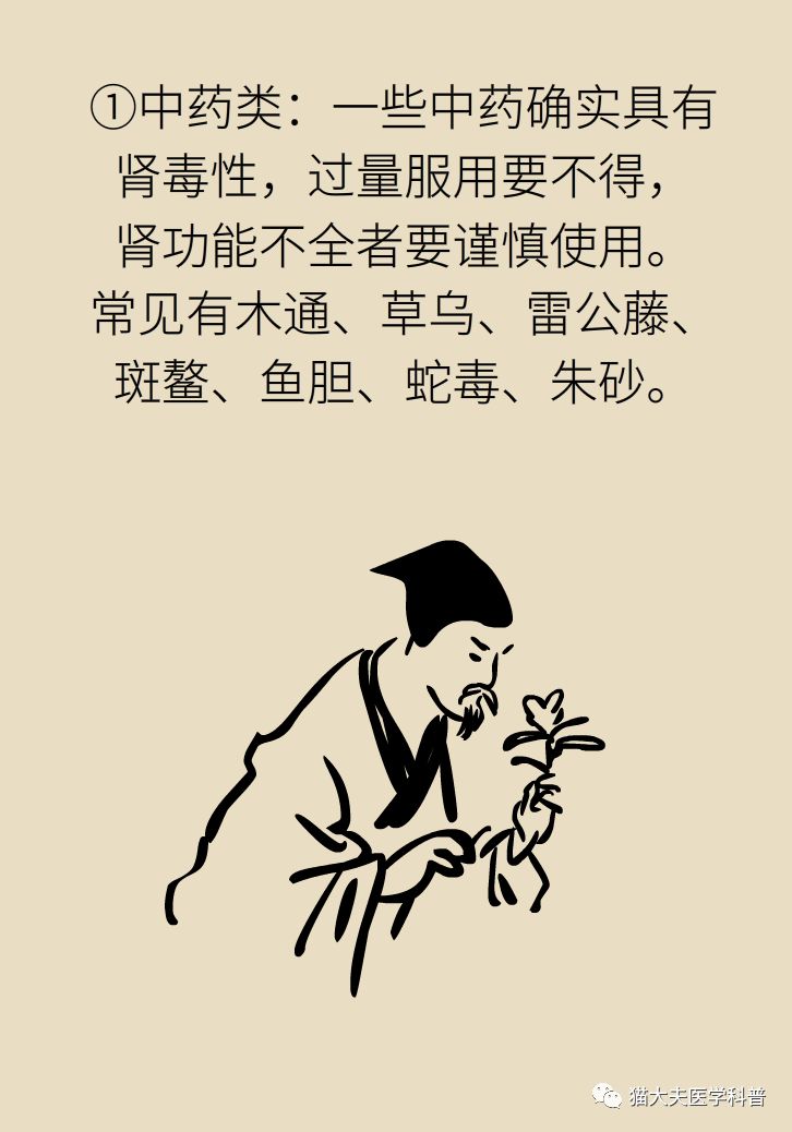 肾虚健康常识,医生科普肾虚