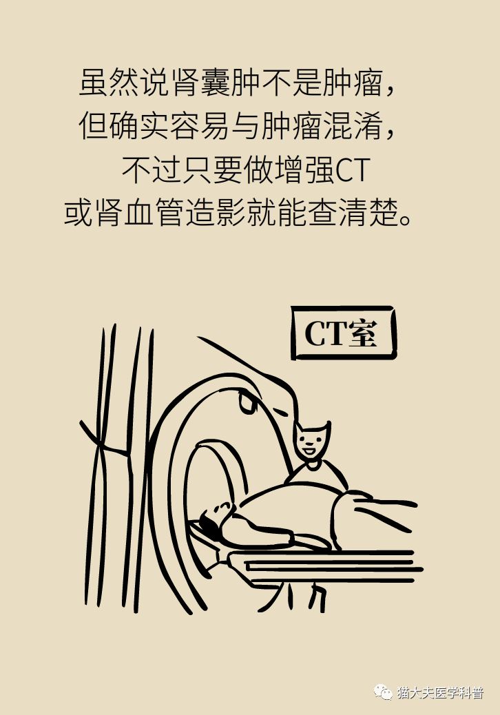 肾虚健康常识,医生科普肾虚