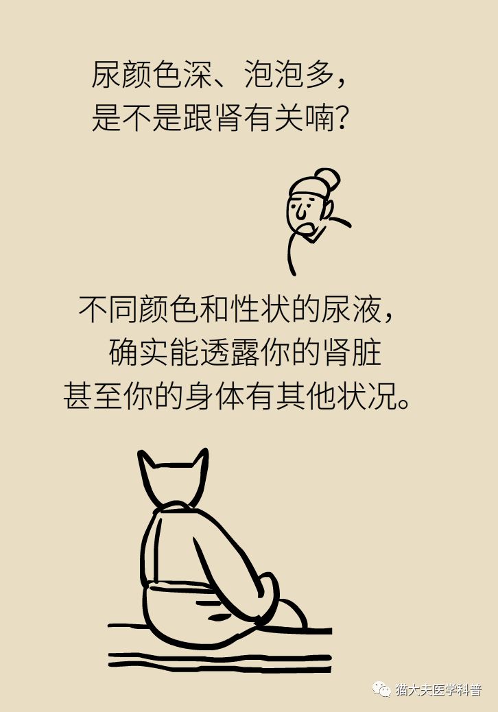 肾虚健康常识,医生科普肾虚