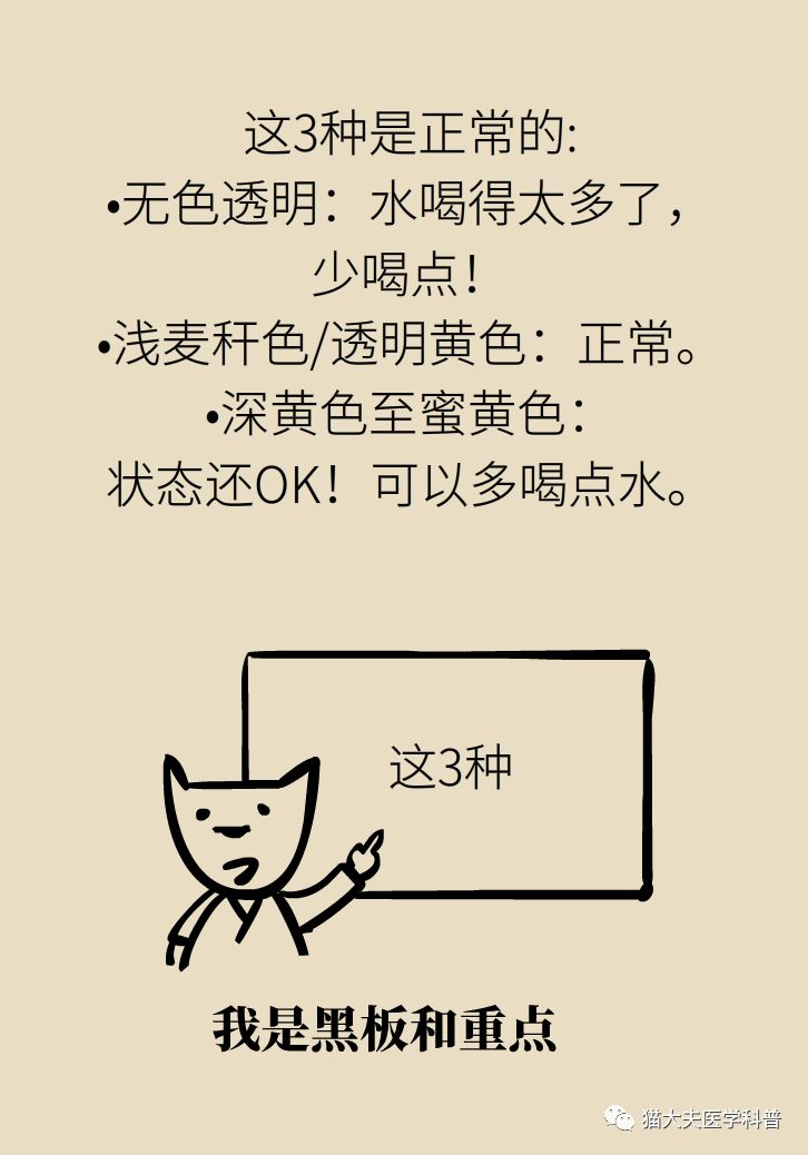 肾虚健康常识,医生科普肾虚