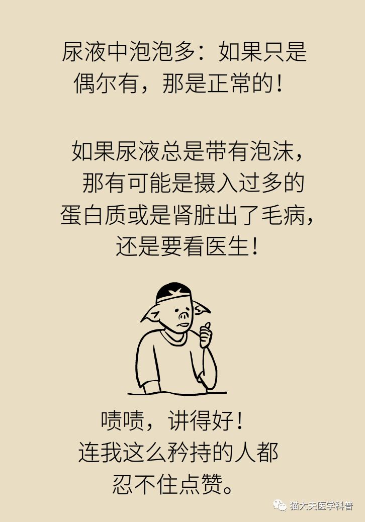 肾虚健康常识,医生科普肾虚