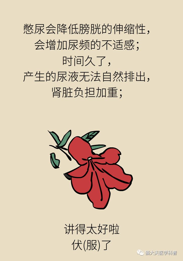 肾虚健康常识,医生科普肾虚