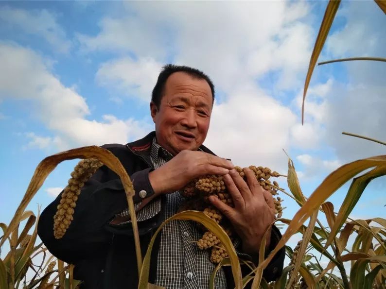 什么样的小米煮粥好喝,米脂小米五谷杂粮粥