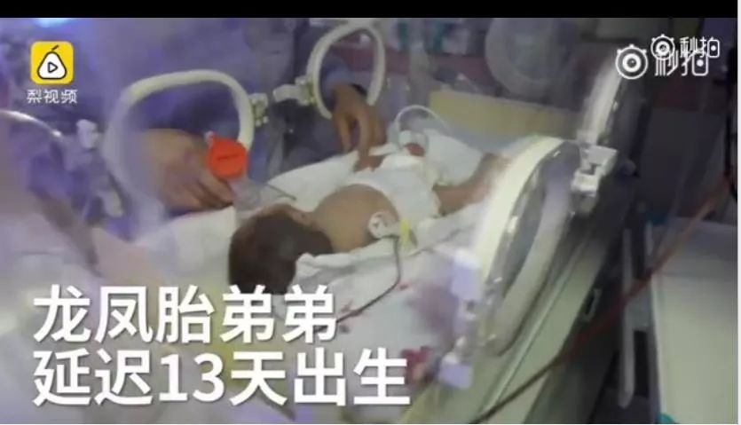 28岁孕妇死亡竟然产下一对双胞胎,安徽女子怀双胞胎后续