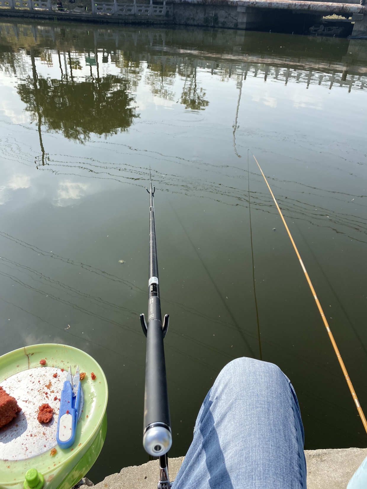 窝里鱼有泡但不开口怎么办,窝里有鱼没口什么原因