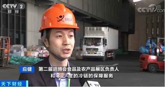 地中海蓝鳍金枪鱼视频,高端海鲜食材蓝鳍金枪鱼