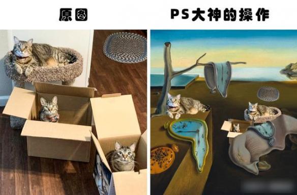 你绝对没见过的ps大神搞笑p图对比,求ps大神帮忙p图搞笑