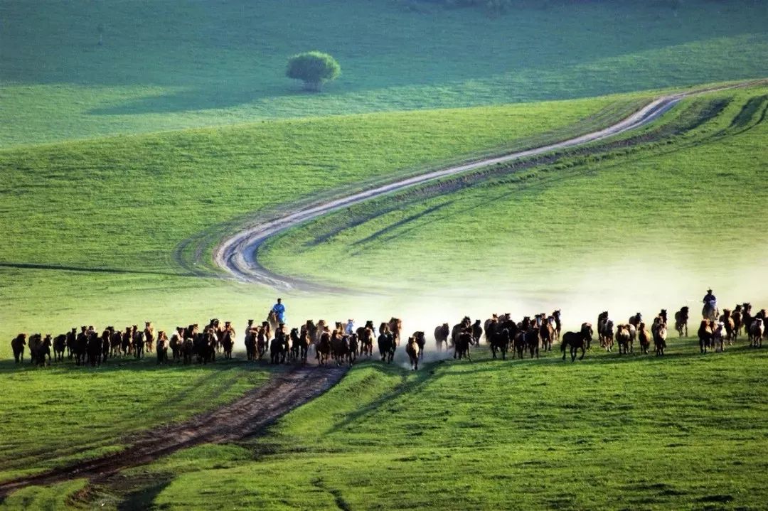 「聚焦」隐藏在CHI（赤）FENG（峰）里的秘密，你发现了吗？