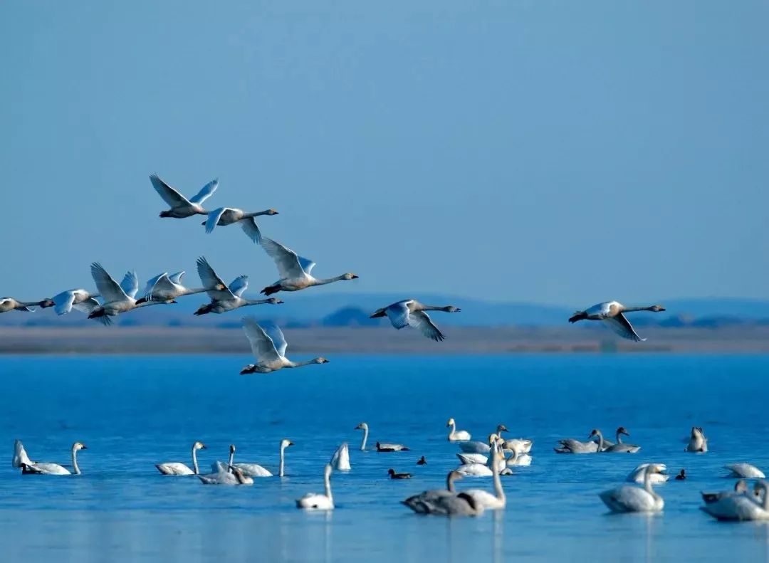 「聚焦」隐藏在CHI（赤）FENG（峰）里的秘密，你发现了吗？