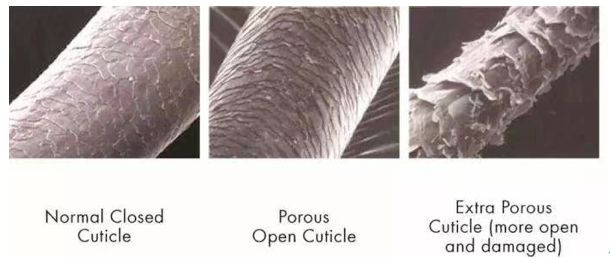 头发分叉有静电怎么办,冬天头发干燥分叉起静电咋办
