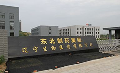 沈阳市铁西区东药搬迁,东瑞制药拆迁最新消息