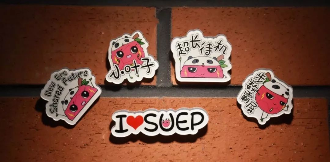 进博会小叶子上海理工大学,进博会中的小叶子