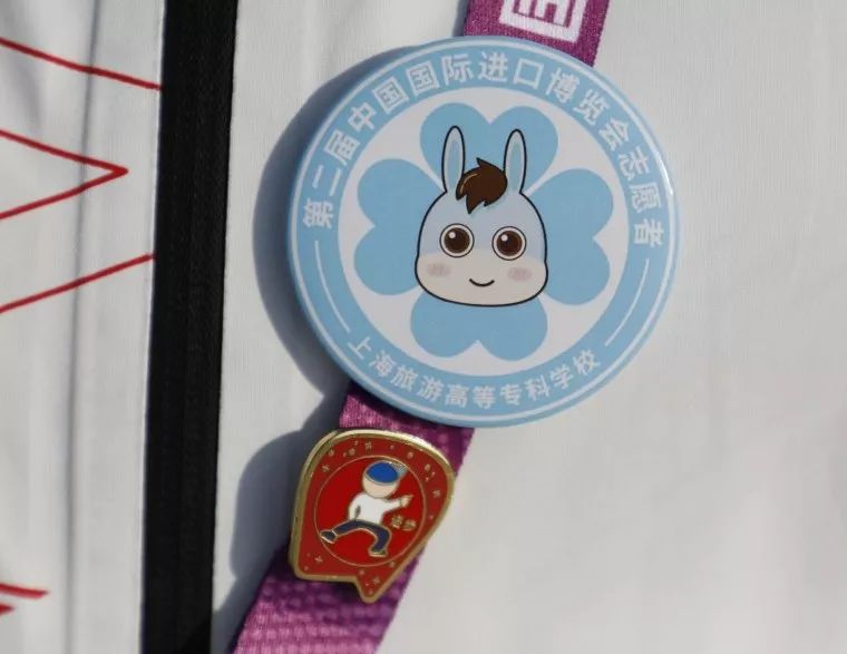 进博会小叶子上海理工大学,进博会中的小叶子