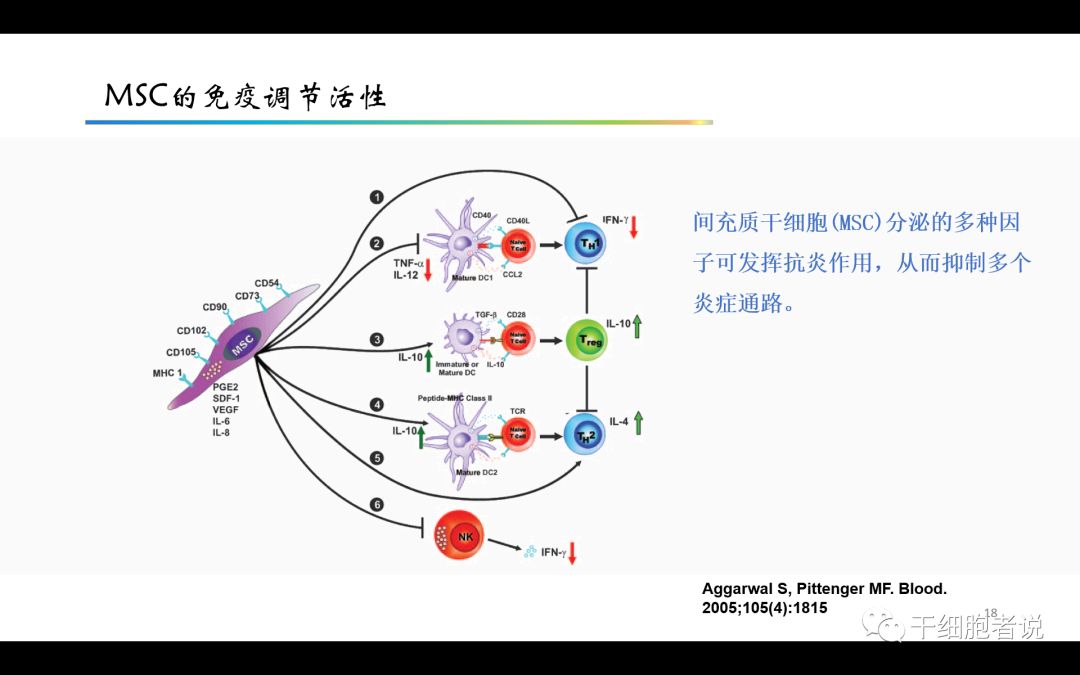 干货：干细胞治疗心血管疾病的未来（PPT）