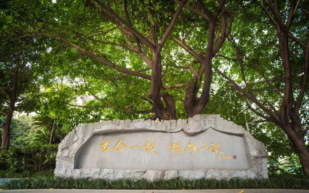 成都天府四中是什么样的学校,成都四中是山里的学校