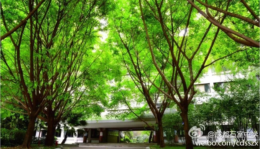 成都天府四中是什么样的学校,成都四中是山里的学校