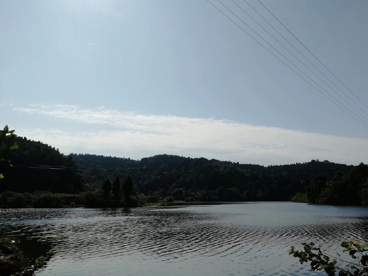 红虫有毒吗？用红虫挂饵应该关注什么？