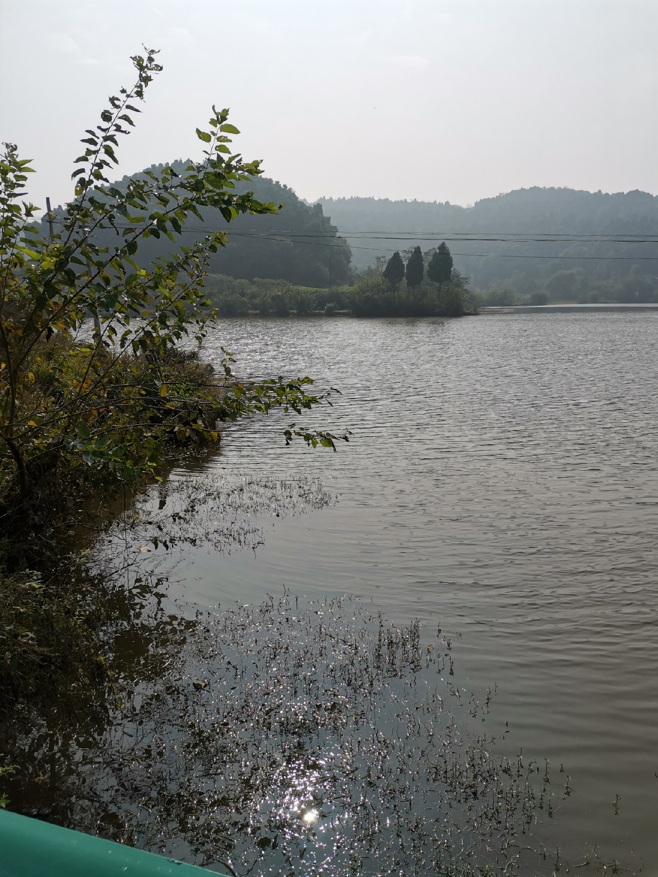 红虫有毒吗？用红虫挂饵应该关注什么？