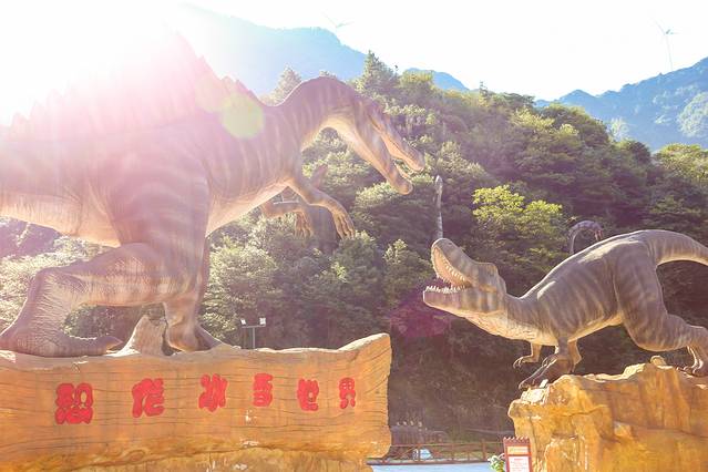 重庆网红景点奥陶纪攻略,重庆奥陶纪游玩怎么上来