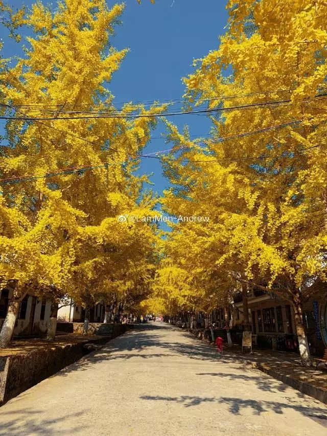 对不起，这个秋天我要去韶关南雄