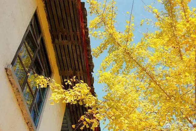 对不起，这个秋天我要去韶关南雄