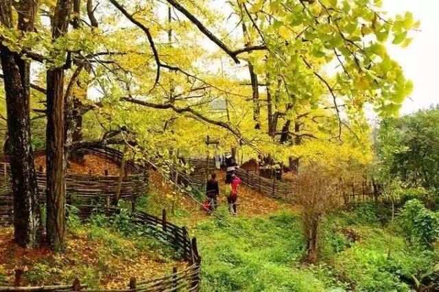 对不起，这个秋天我要去韶关南雄