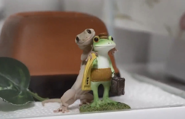 出门关注安全！守宫上演十八相送