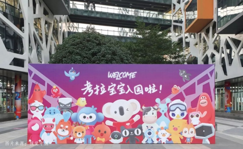 丁磊考拉,丁磊养猪和马云养鸡