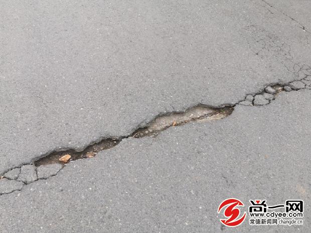 坑你没商量前面一句,坑你没商量前半句