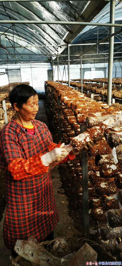 农文旅融合助推乡村振兴感想,农旅融合促乡村振兴经典案例