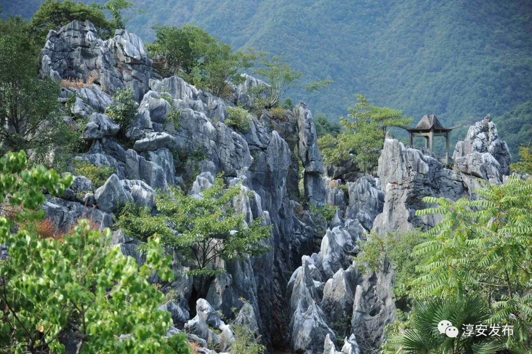 30年前的千岛湖是什么样的,曾经被污染的千岛湖