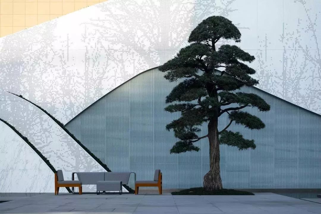 龙湖舜山府背后的故事,2024年重庆龙湖舜山府