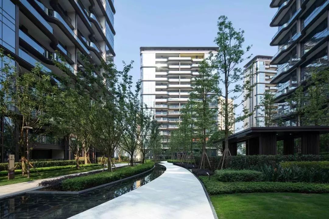 龙湖舜山府背后的故事,2024年重庆龙湖舜山府