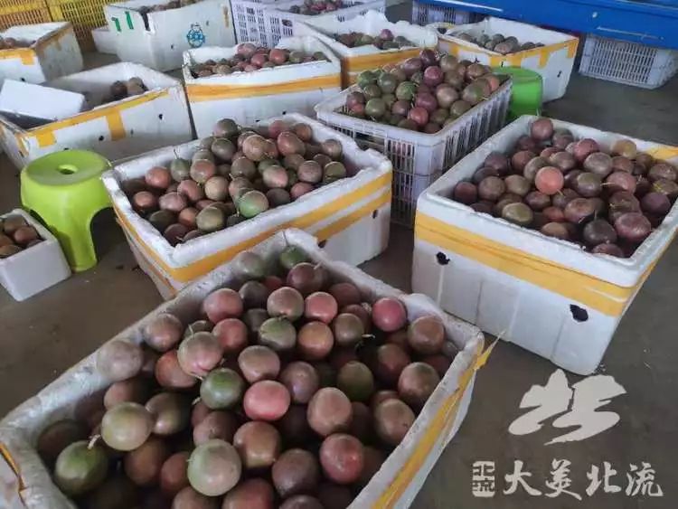 ohmygod闆堕,ohmygod瑗跨摐瑙嗛