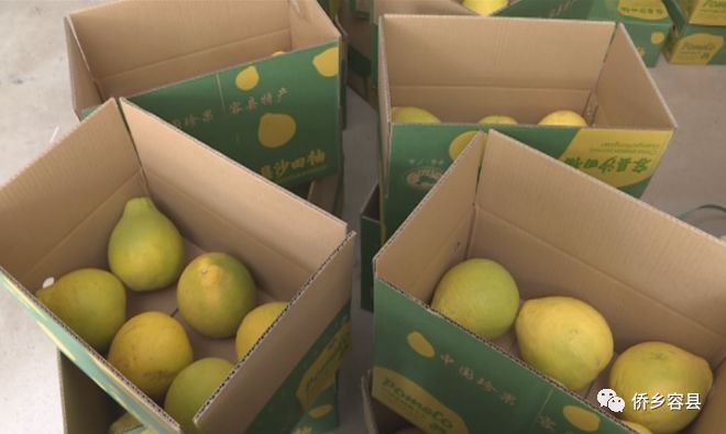 ohmygod闆堕,ohmygod瑗跨摐瑙嗛