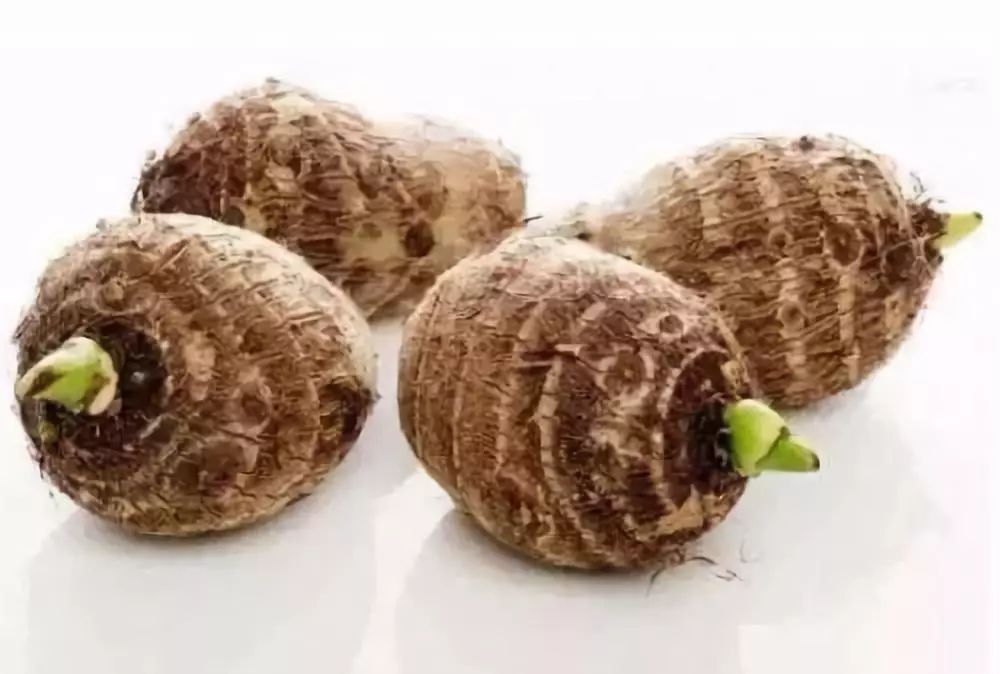 那些发芽的食物还能吃吗,发芽的食物不能吃一文告诉你真相