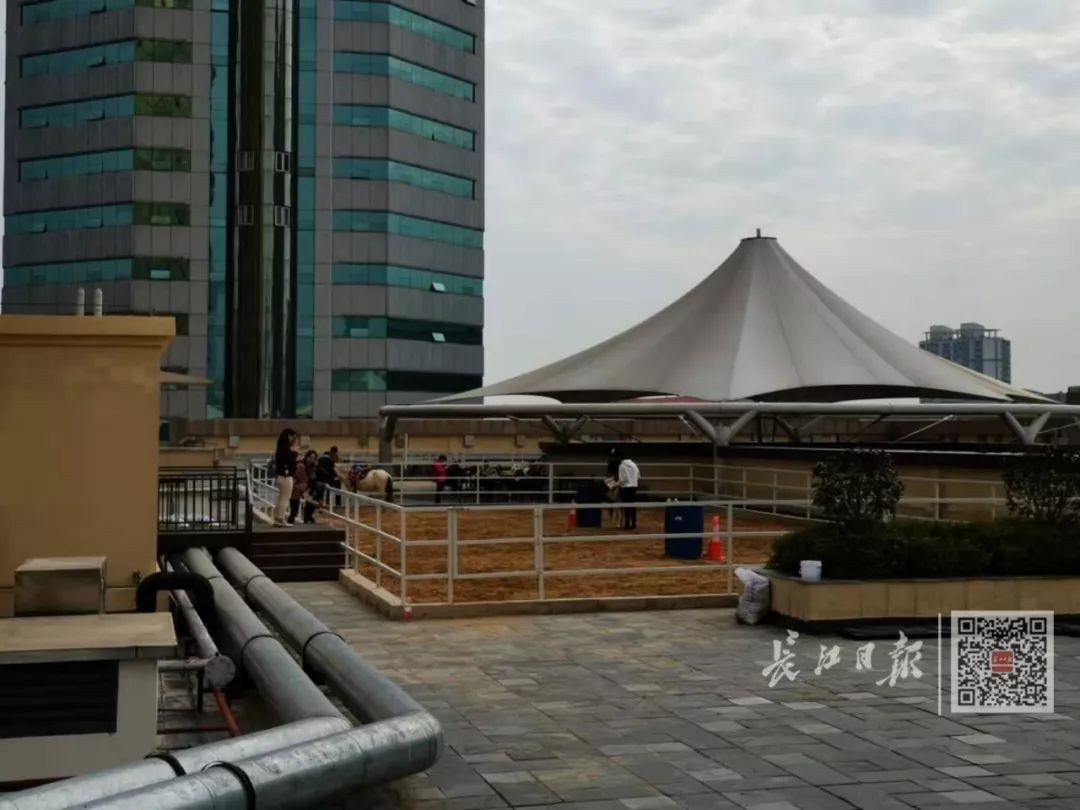 武汉一家商场出现“空中马场”！安全吗？卫生吗？