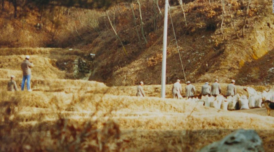 请回答1988当年在韩国有多火,请回答1988韩国背景是真实的吗