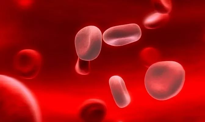 fda批准用于治疗地中海贫血的药物,地中海贫血新药