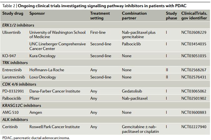 一文盘点：胰腺癌的靶向治疗和免疫治疗研究进展