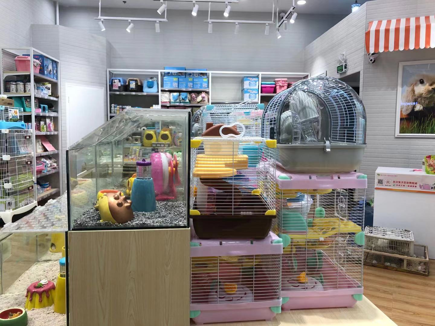 深圳宠物购物市场,深圳宠物用品商店地址