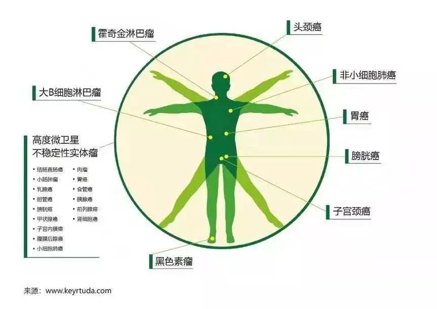 k药适合哪一种癌症,抗肿瘤药物k药和o药的区别和联系