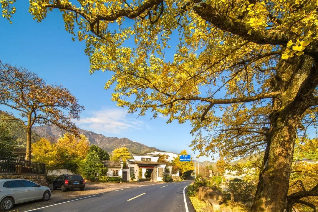 湖州启智儿童康复中心,湖州市第一人民医院康复科