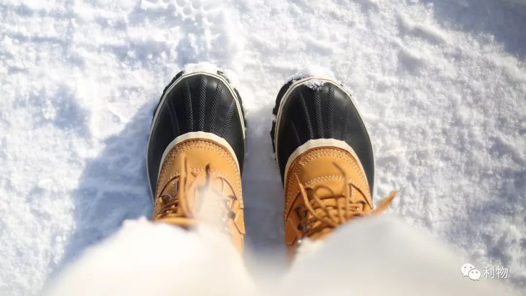 黑五海淘最值得买的东西,海淘黑五买什么