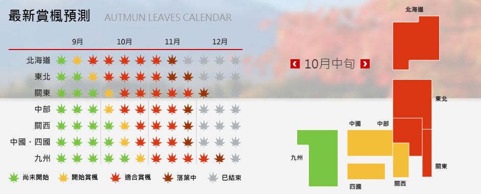 省钱又实用的日本“红叶狩”攻略错过又要等一年|用耳朵旅行的财经主播Nina