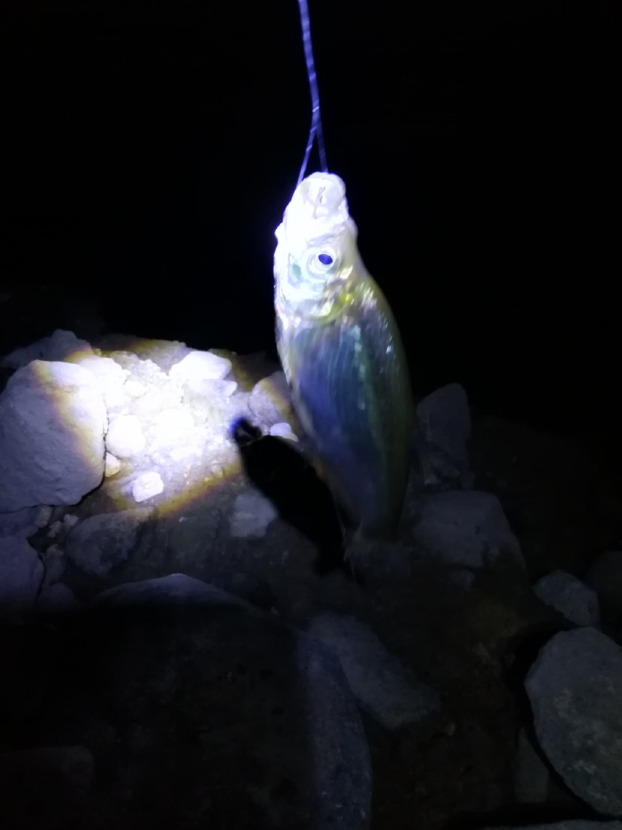 不钓鱼全是烦恼,不钓鱼心里没滋味